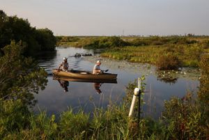 Two men are paddling a canoe.