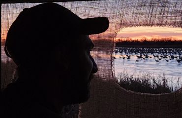 A man in a baseball cap looks through a hole in a bird blind and observes sandhill cranes at sunset.
