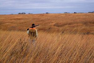 A hunter in a grassland.
