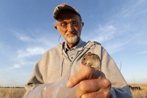 Researcher Mike holds a pocket mouse while on the prairie. 