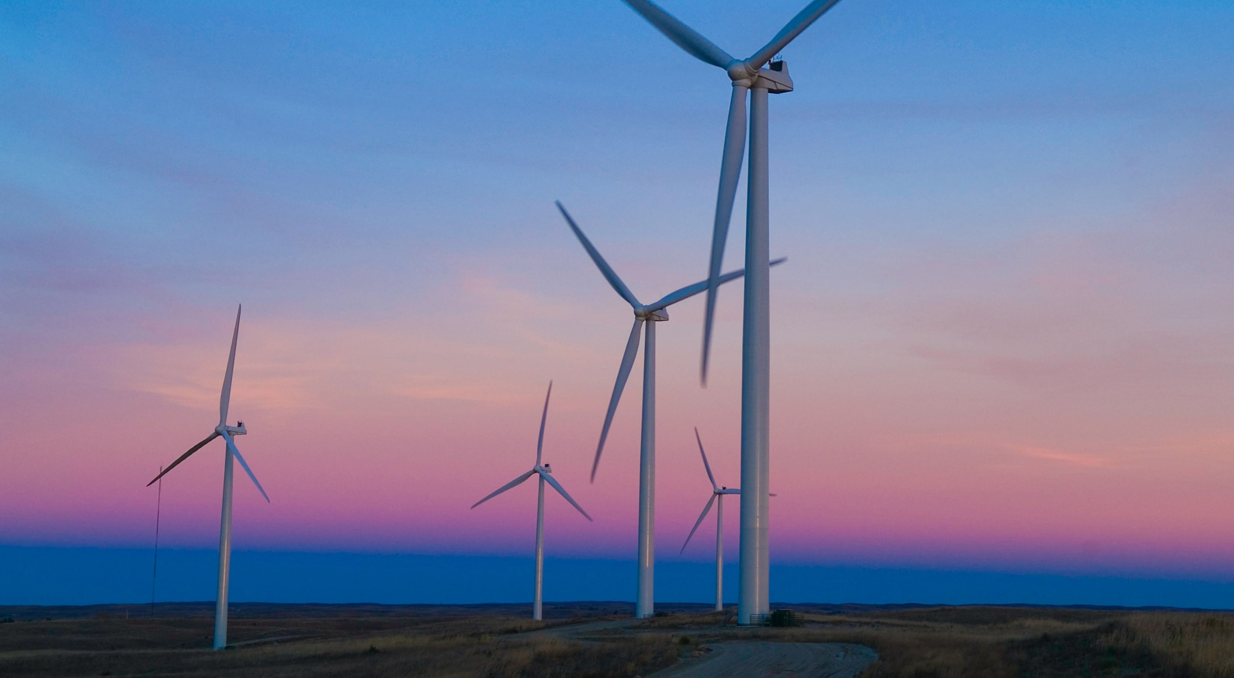 A field of wind turbines at dusk
