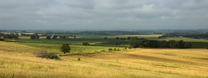 Green and flat agriculture lands with a cloudy sky.