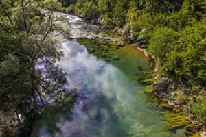 The Neretva River flows through a forest.