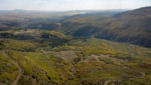 Aerial view of a green landscape with rolling hills.