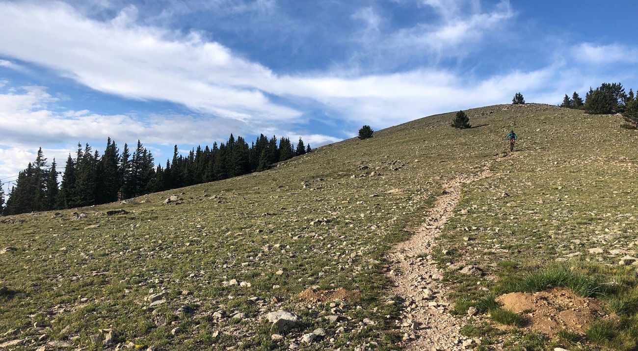 Steep hill with evergreens in the distant treeline, mountain biker bikes on a path in the background.