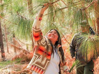 A woman pulls needles off of a pine tree while a man stands in the background watching.