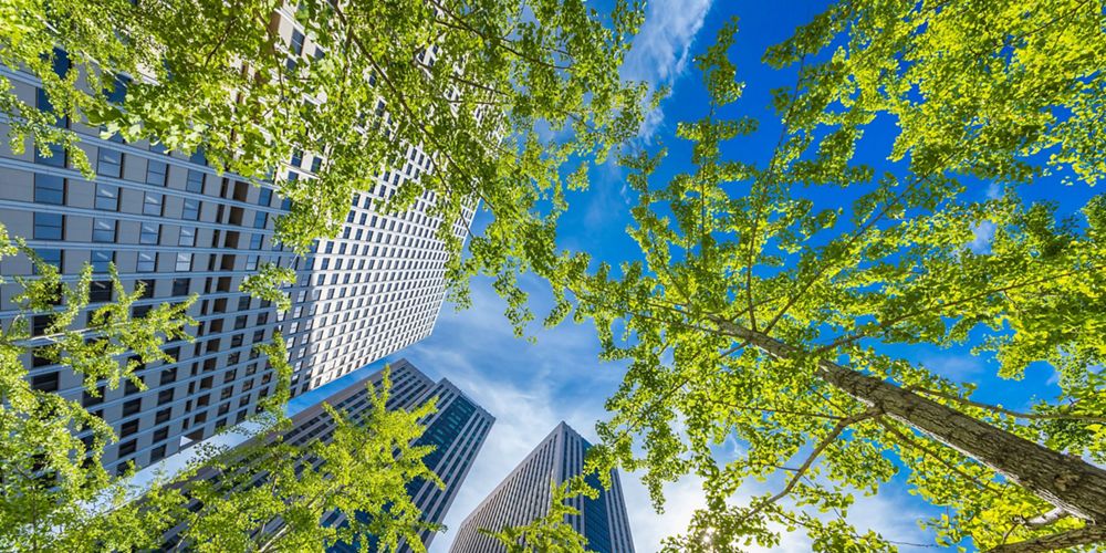 Aerial view of green trees surrounding skyscrapers.