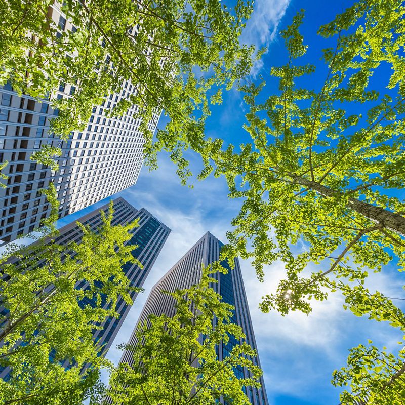 View looking up toward the tops of tall skyscrapers and tree canopy.