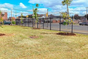 Puffy white clouds hang in the blue sky. Four newly planted trees stand within a black metal fence alongside the sidewalk.