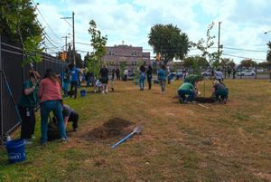 Blue skies with puffy white clouds hang over as various groups of 3-4 volunteers each plant trees within the grounds of the South Philadelphia Super Site.