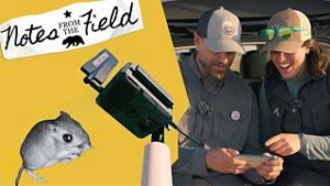 Two people in baseball hats look at a smartphone.