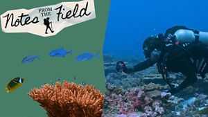The Notes from the Field logo and a scuba diver surrounded by corals. 