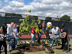 The NFL and TNC team up for a community greening project