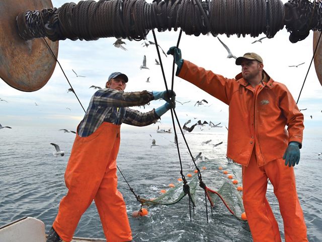 Two fishermen reeling in a large net.