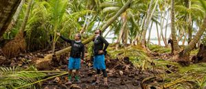 Two people wearing matching outfits are surrounded by palm trees.