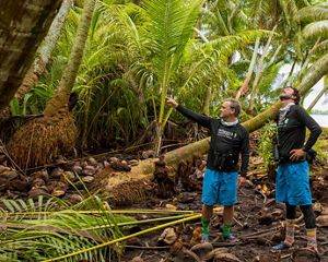 Two people wearing matching outfits are surrounded by palm trees.