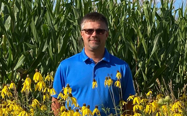 Portrait of Nick Guilette wearing a royal blue shirt and standing in a field with chest-high yellow sunflowers in front of him and tall cornstalks behind him. 