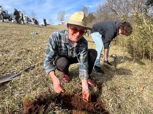 Man with a hat harvesting river cane.