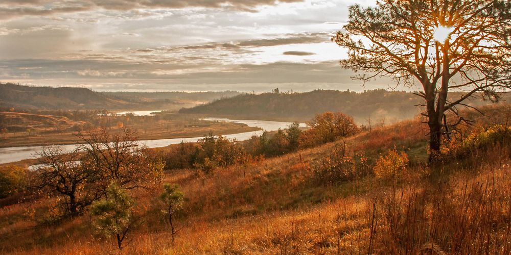 A view of the preserve at dawn.