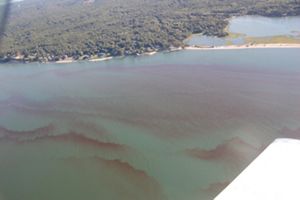 Nitrogen Pollution