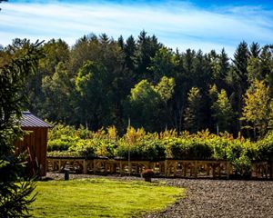 Thr Nature Conservancy