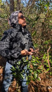 Clad in sunglasses and a zip-up jacket, Dr. Nisa Novita looks upward toward vegetation at a peatland restoration site in North Carolina.