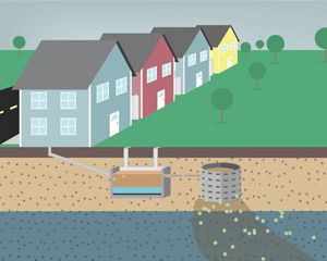 Illustration showing green grass, houses, and a person alongside a body of water into which nitrogen pollution is flowing.