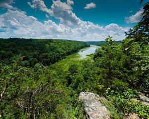 Aerial view of a small pond in the forest.