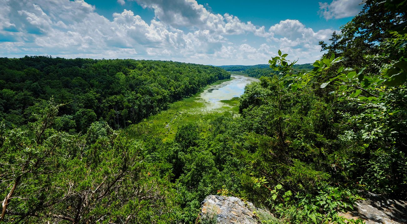 View of the glacier-formed Mud Pond, a scenic limestone wetland that supports rare plants at our Johnsonburg Swamp Preserve.