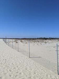 Fence on a beach.