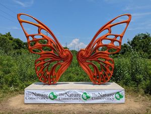 An orange butterfly sculpture sits in a field.