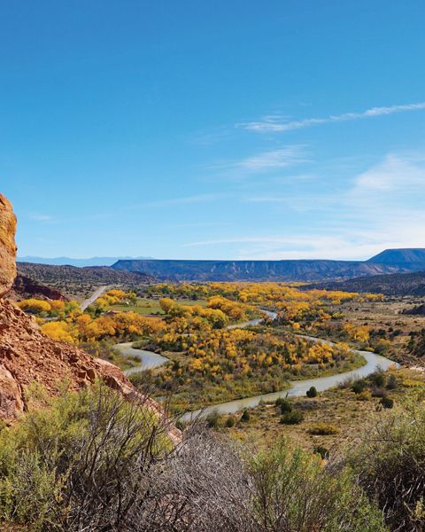 Fall colors in New Mexico.