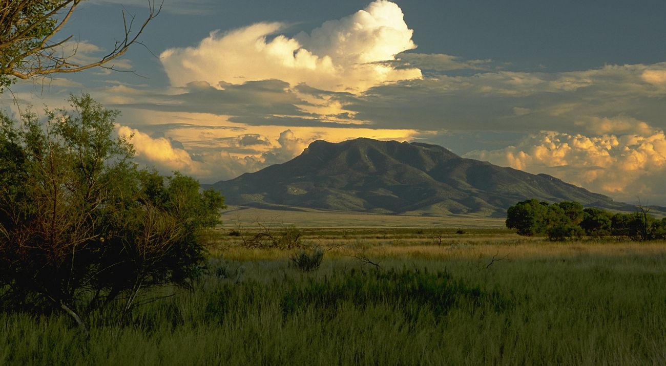 Landscape of a mountain in the distance with grassland and trees in the foreground during sunset.