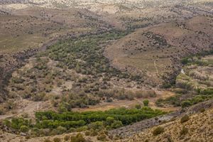 Aerial view of a rocky area with a bright green line of trees going through it.