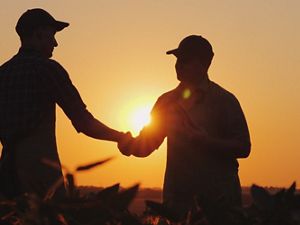 Farmers shaking hands in a field at sunset.