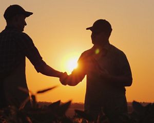 Farmers shaking hands in a field at sunset.