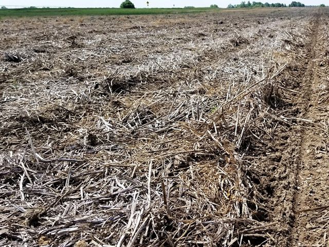 A brown farm field of dried up crops lays dormant before new planting.