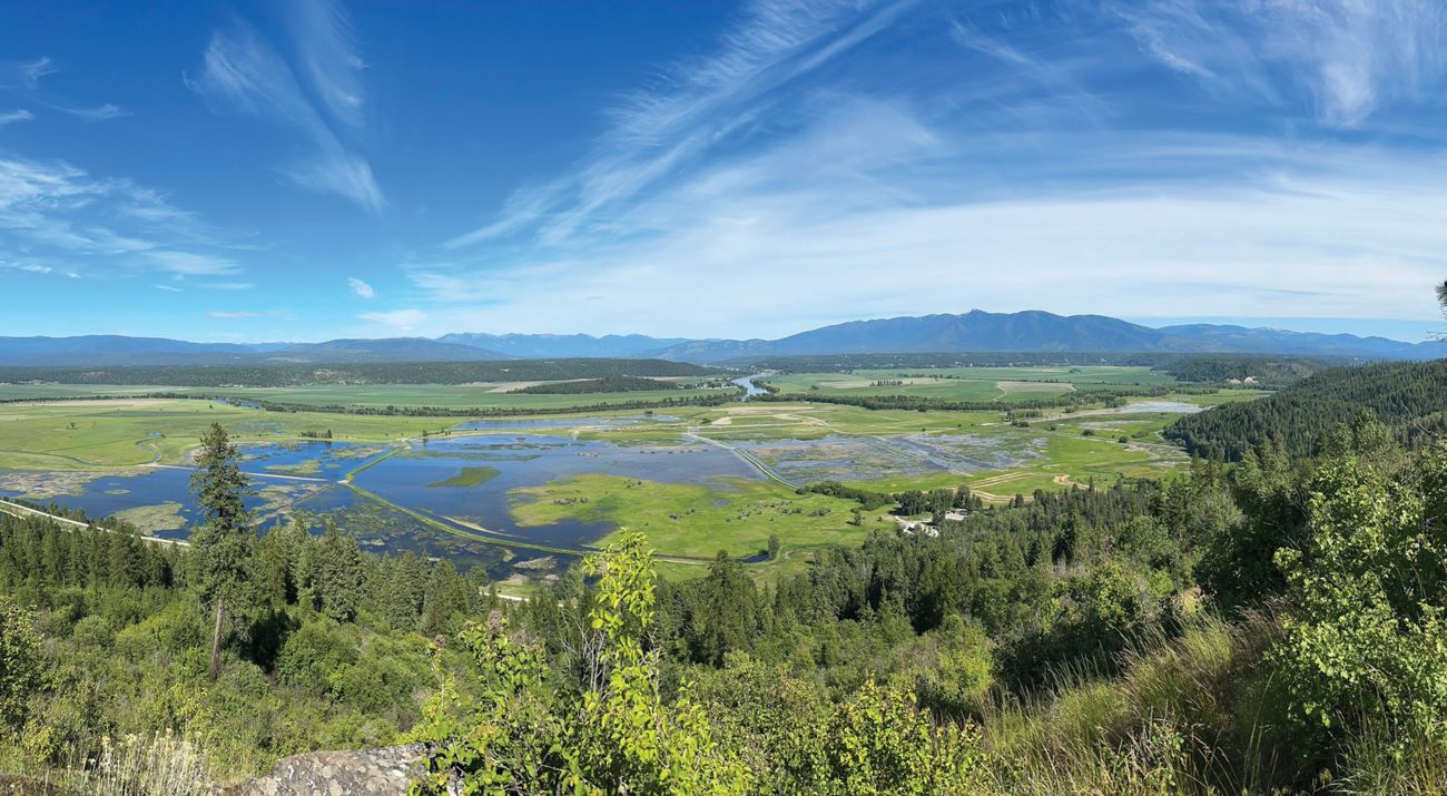 View of a green valley covered in wetlands and tall grass.