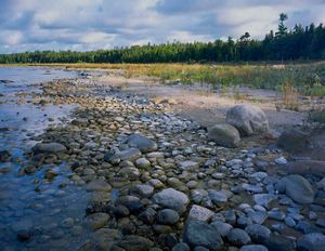 The bright, blue water of Lake Huron from the shore of the North Point Peninsula in Michigan. The shore is covered in small to large rocks and green foliage.
