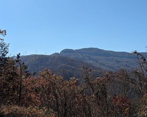 A blue sky frames a forested mountain valley.