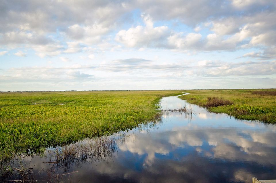 Mad Island Marsh Preserve | The Nature Conservancy