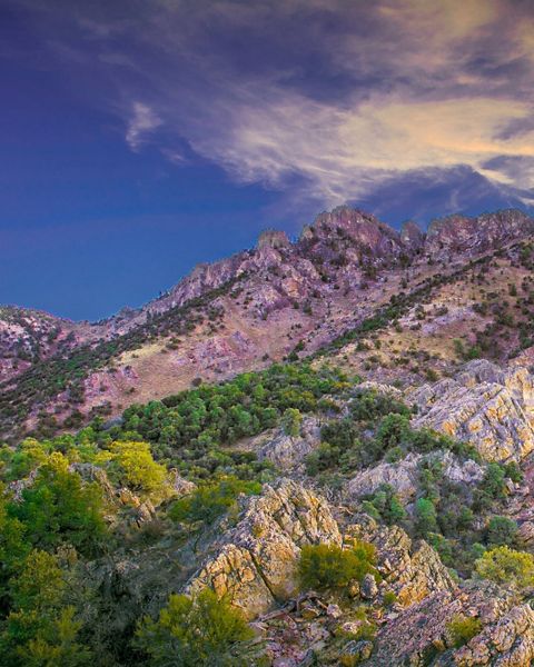 Located in Central Nevada.