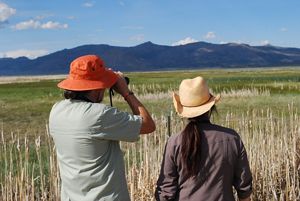 Two birdwatchers with binoculars look out over grassy wetlands.