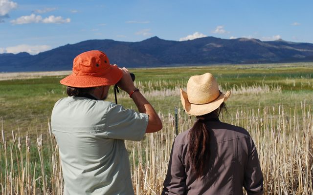 Two birdwatchers with binoculars look out over grassy wetlands.