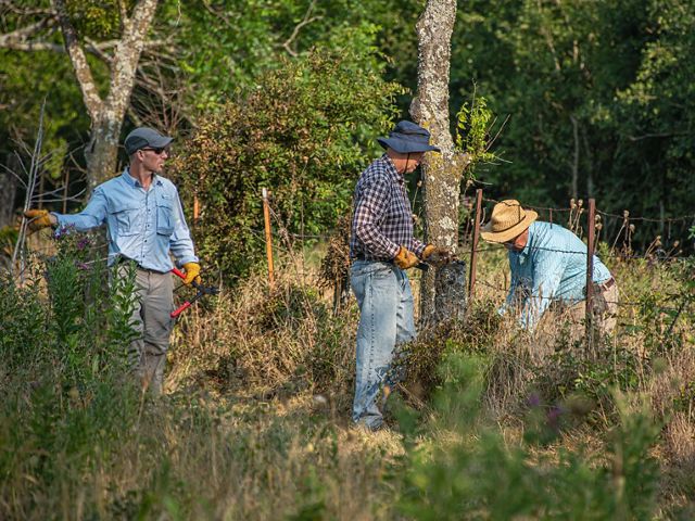 Three men stand with tools conducting work in an overgrown field.