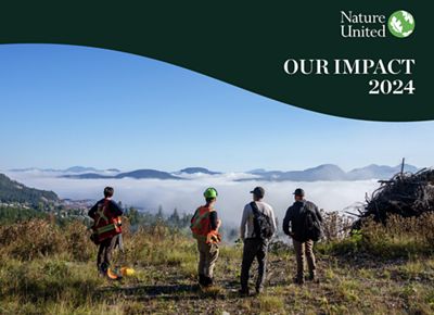 Indigenous Guardians standing cliffside and looking out over a forested valley.