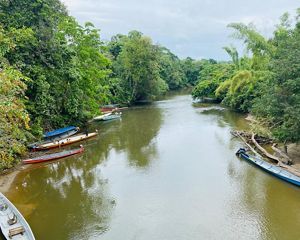 A river with boats and trees along its shores.