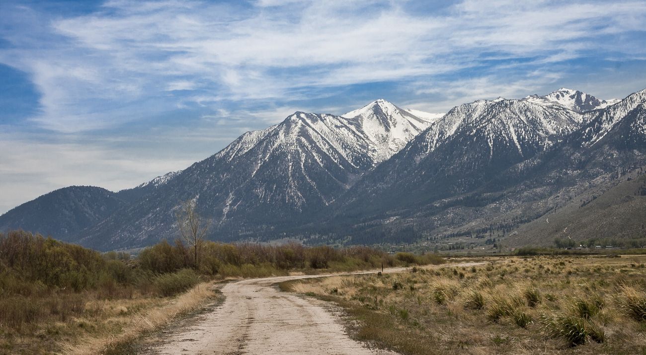 Landscape of a snow capped mountain with a road in the foreground and dried grass on either side.