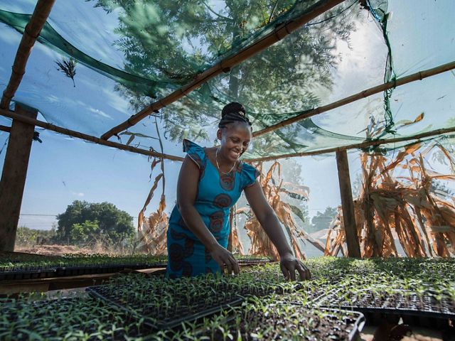 Woman standing and smiling in greenhouse.