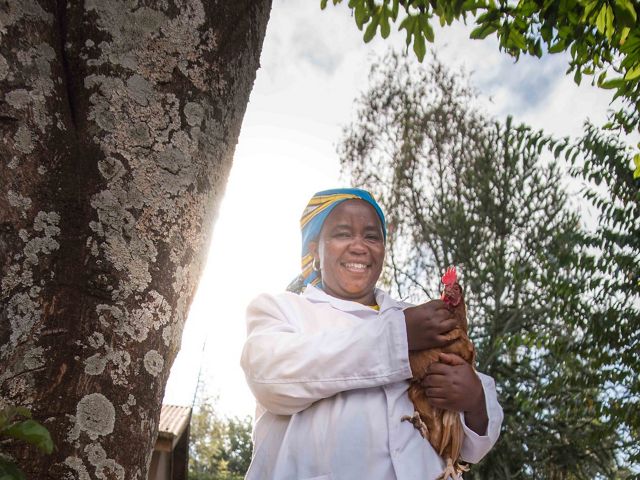 With support from the Upper Tana-Nairobi Water Fund, Gladys now has Rainforest Alliance Certification for her coffee.